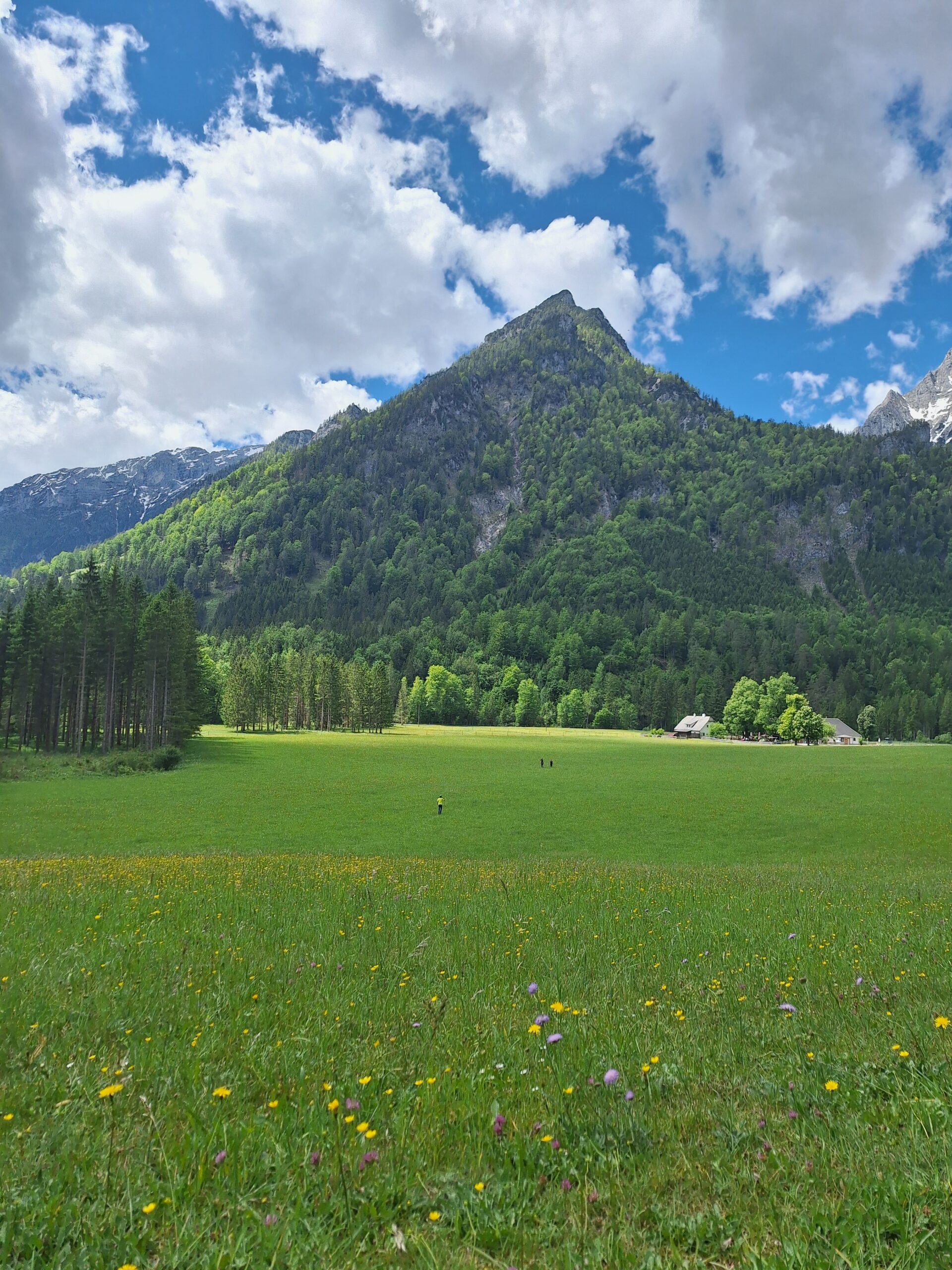 Frühling in der Polsterlucke in Hinterstoder Frühling in der Polsterlucke in Hinterstoder