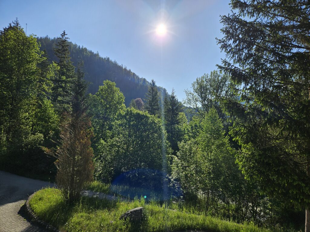 Ausblick aus der Ferienwohnung Bergnest