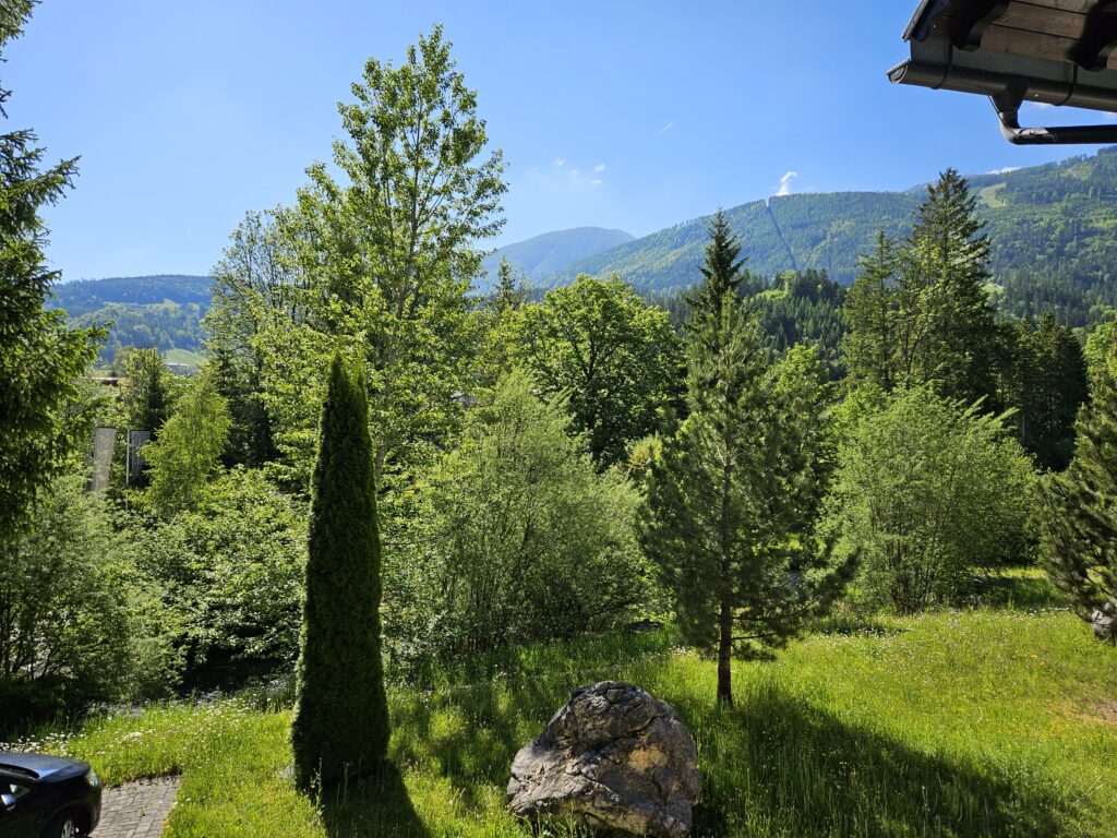 Umgeben von der Natur - Ausblick Ferienwohnung Bergnest im Prielkreuz
