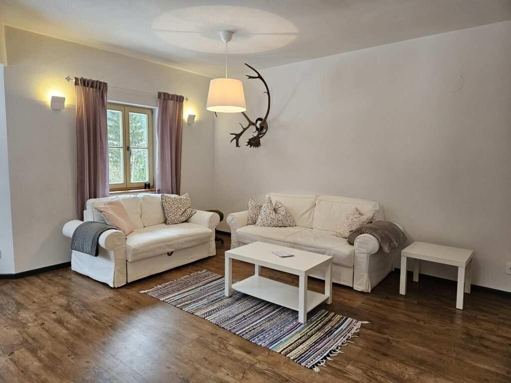 Modernes Wohnzimmer mit Schlafsofa